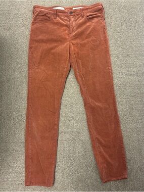 Anthropologie Pilcro Letterpress Womens Script 28 Skinny Pants Brown Velvet